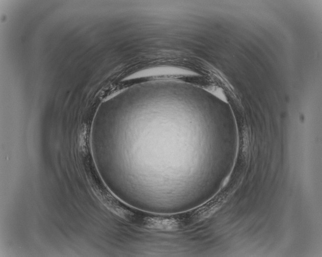 X0000087690073200705181805