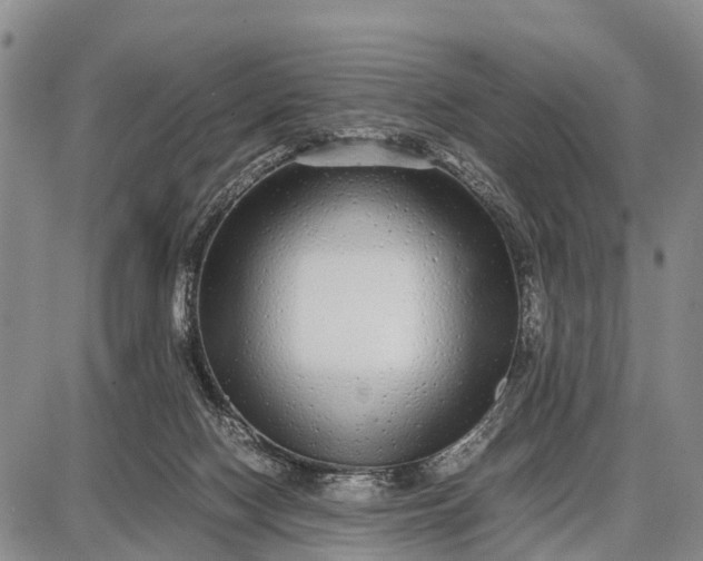 X0000087690074200705181805