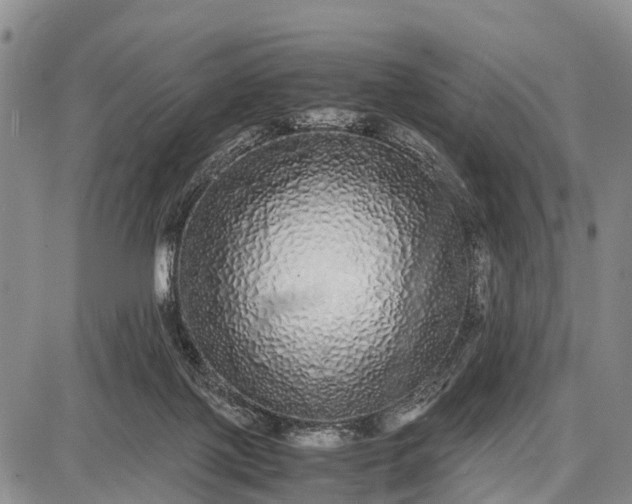 X0000087690075200705181805