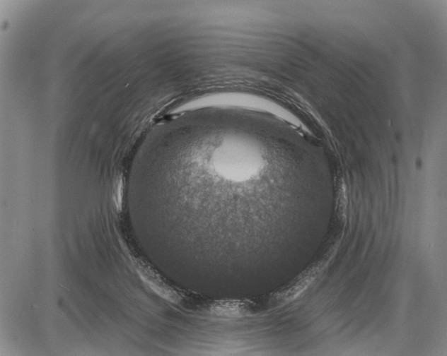 X0000087690076200705181805