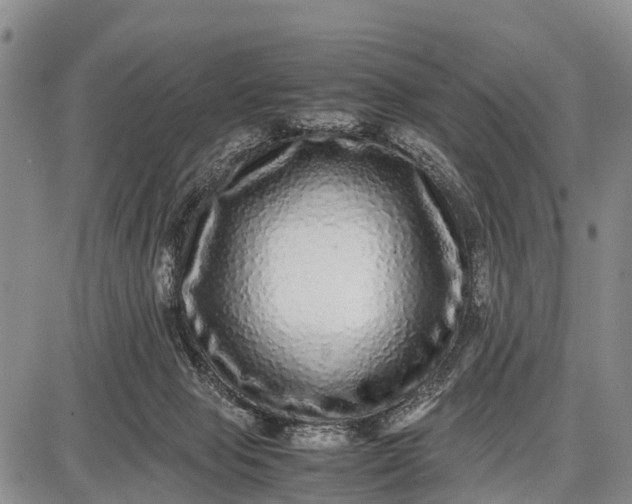 X0000087690077200705181805