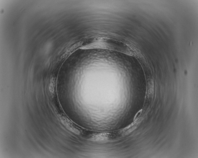 X0000087690078200705181805