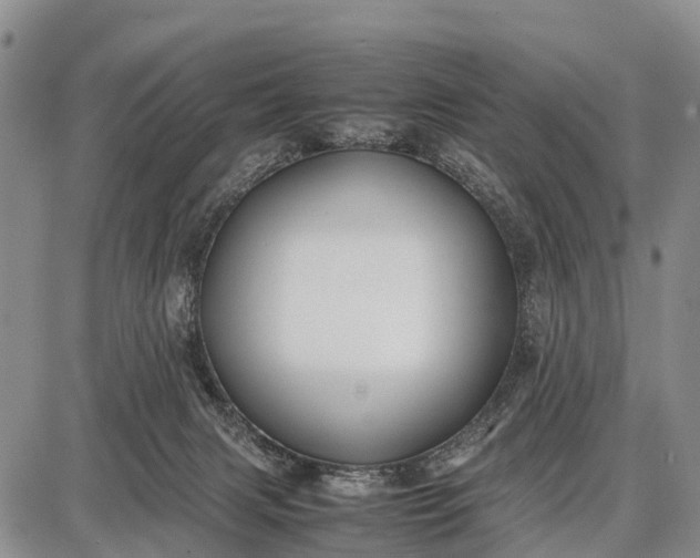 X0000087690079200705181805