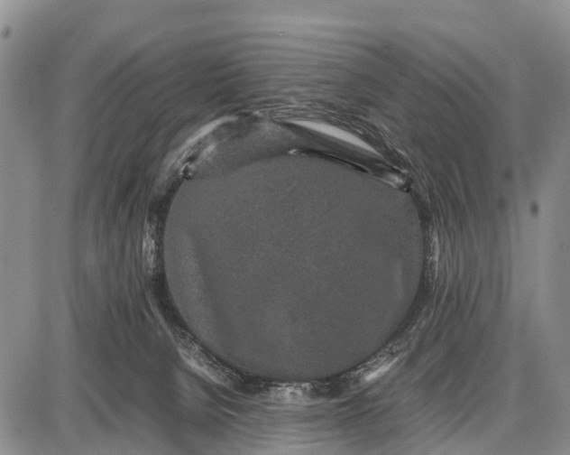 X0000087690080200705181805