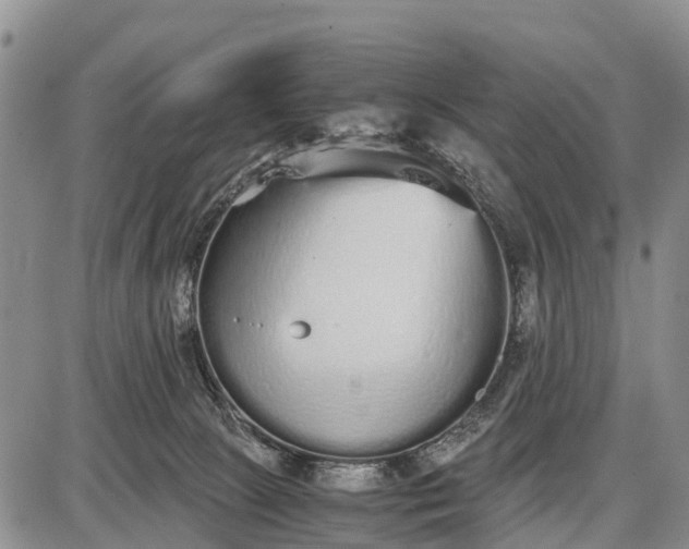 X0000087690081200705181805