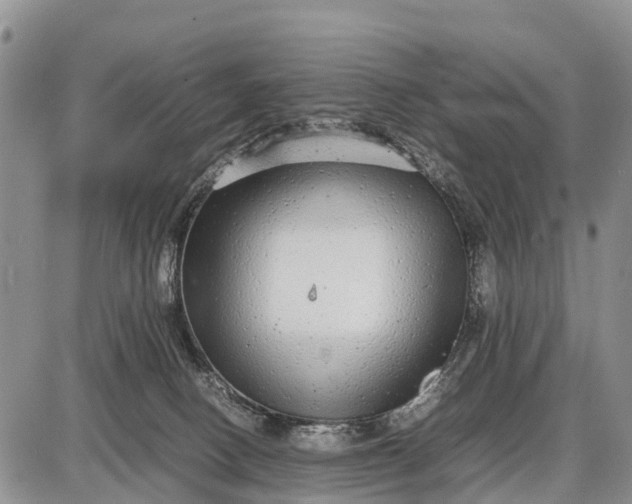 X0000087690082200705181805