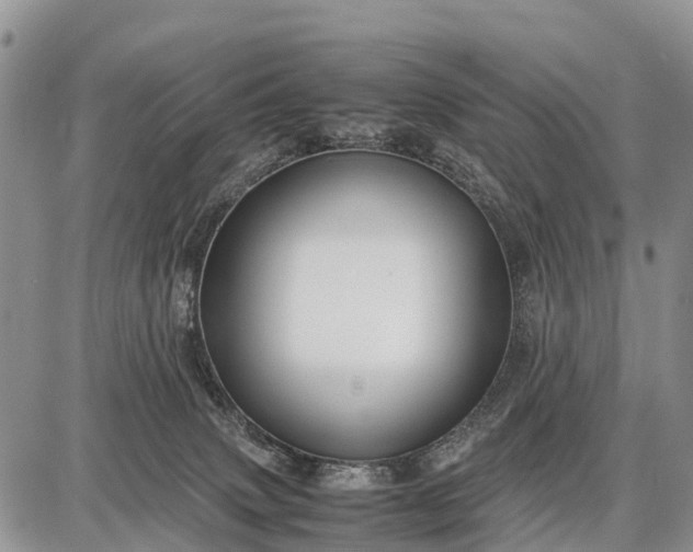 X0000087690083200705181805