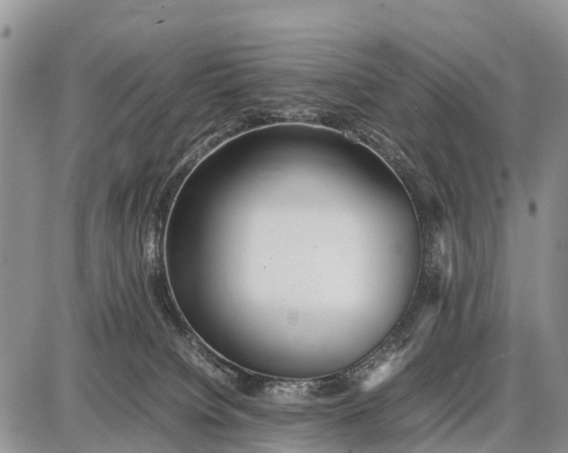 X0000087690084200705181805