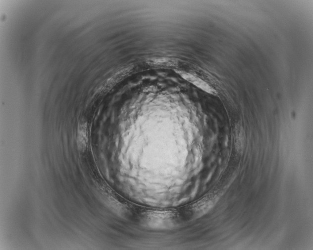 X0000087690085200705181805