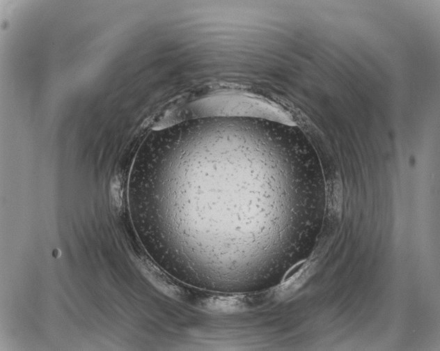 X0000087690086200705181805