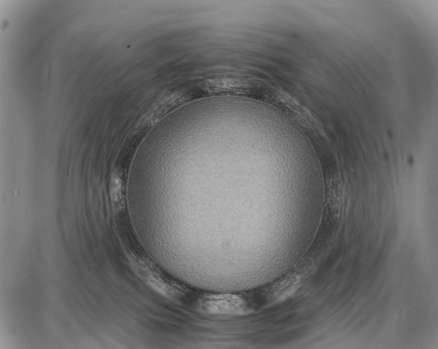 X0000087690087200705181805