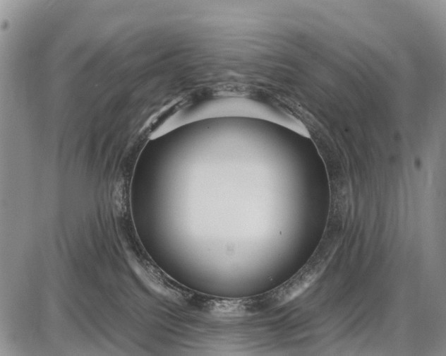 X0000087690088200705181805