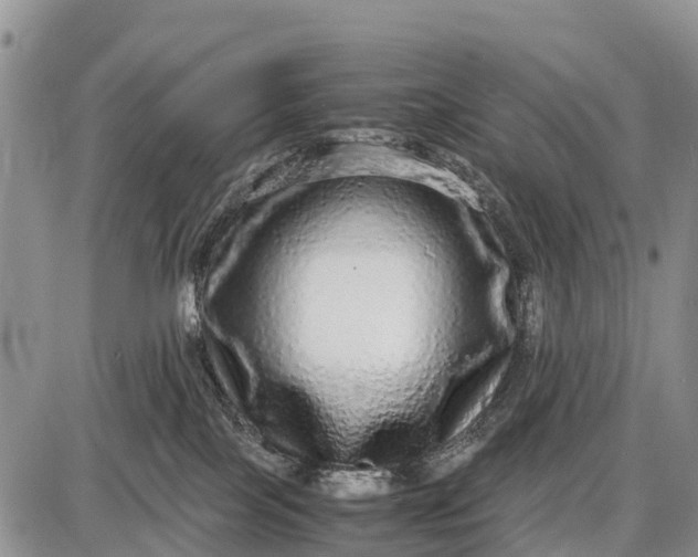 X0000087690089200705181805