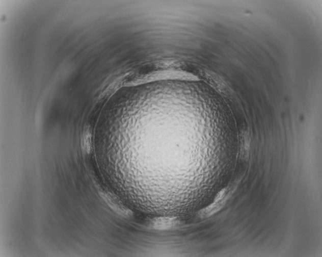 X0000087690090200705181805