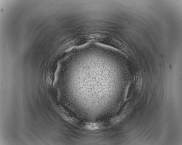 X0000087690091200705181805