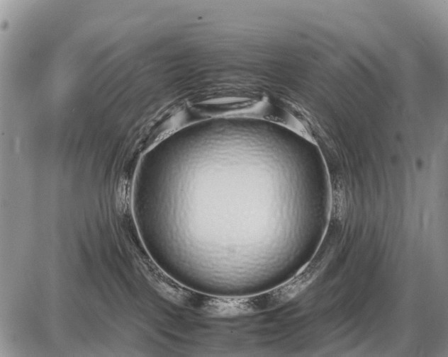 X0000087690093200705181805