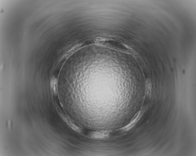 X0000087690094200705181805