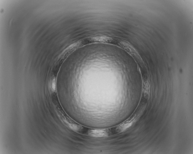 X0000087690095200705181805