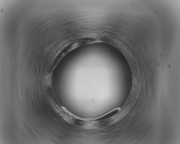 X0000087690096200705181805