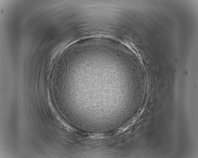 X0000087690097200705181805