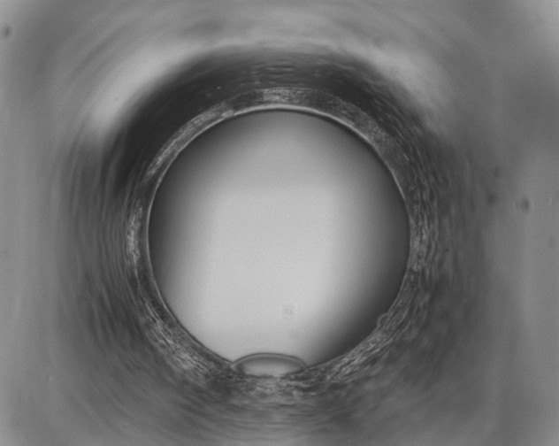 X0000087690098200705181805