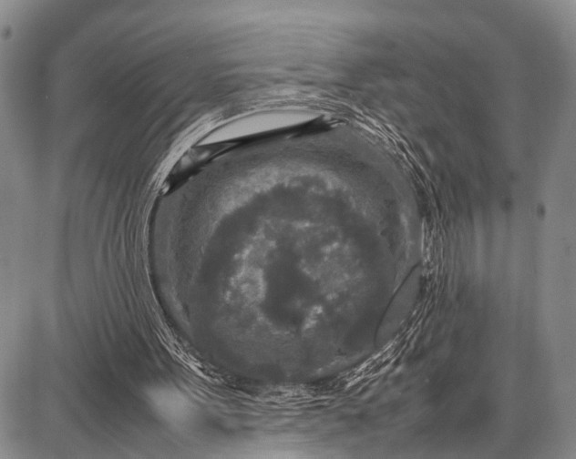 X0000087690099200705181805