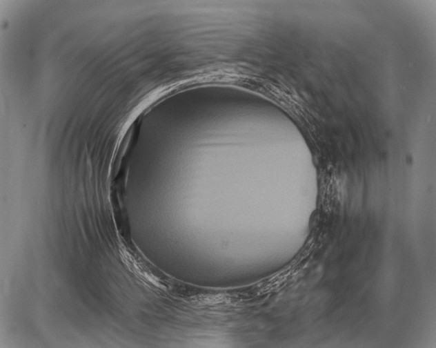 X0000087690100200705181805