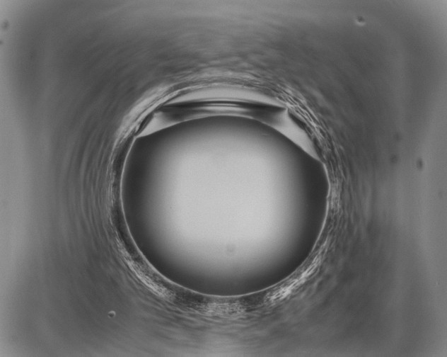 X0000087690101200705181805