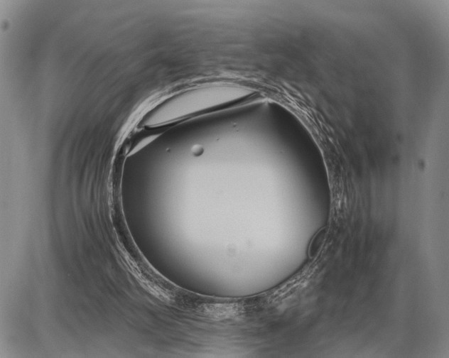 X0000087690102200705181805