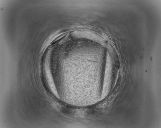 X0000087690103200705181804