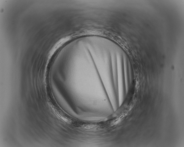 X0000087690104200705181804