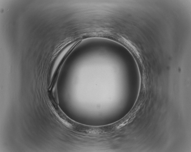 X0000087690105200705181804