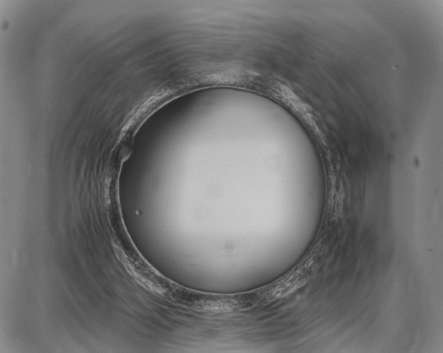 X0000087690106200705181804