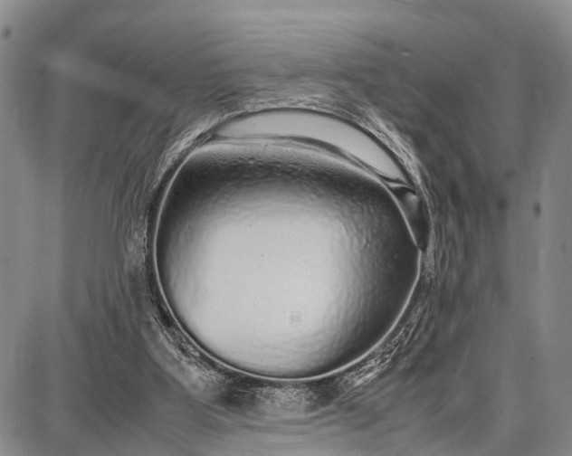 X0000087690107200705181804