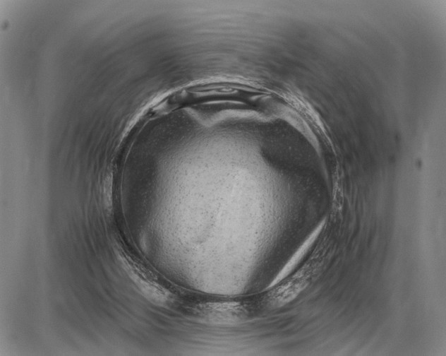 X0000087690108200705181804