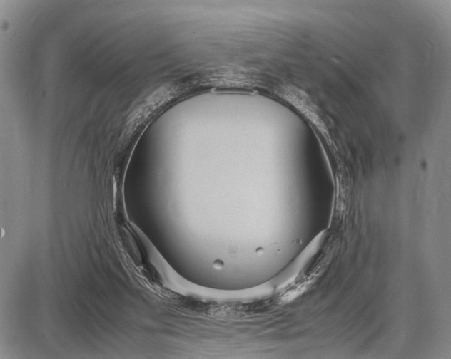 X0000087690109200705181804