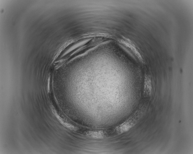 X0000087690110200705181804