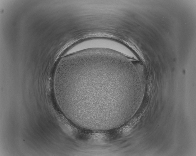 X0000087690111200705181804