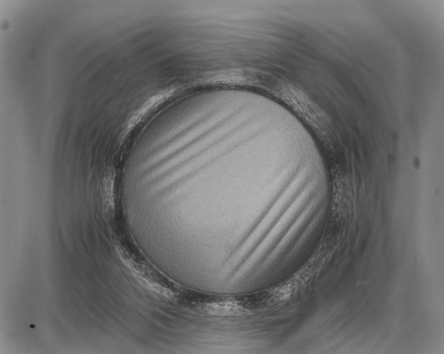 X0000087690112200705181804