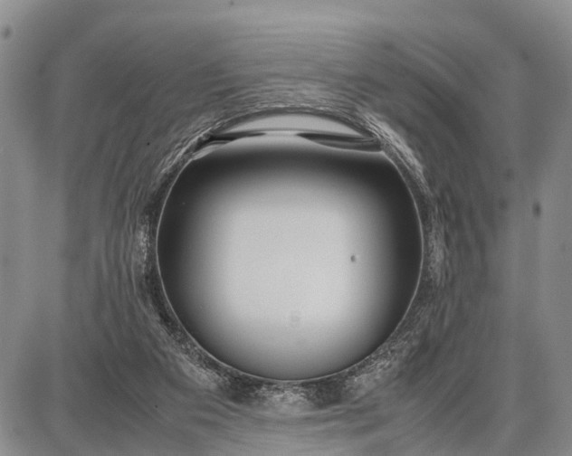 X0000087690113200705181804