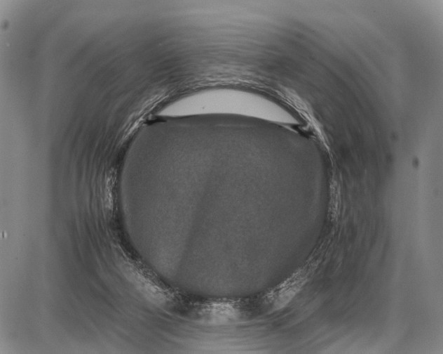 X0000087690114200705181804