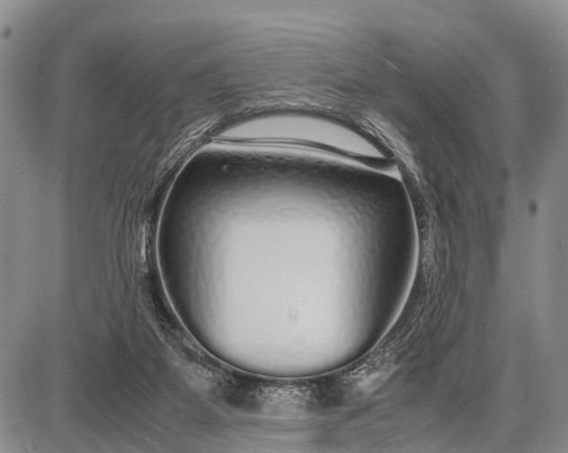 X0000087690115200705181804