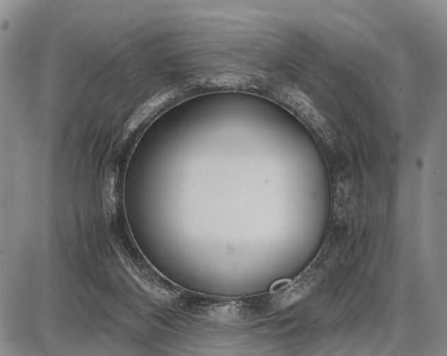 X0000087690116200705181804