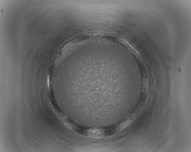 X0000087690117200705181804