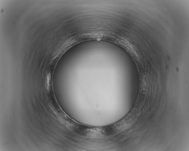 X0000087690118200705181804