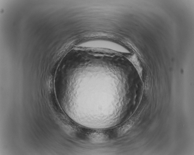 X0000087690119200705181804