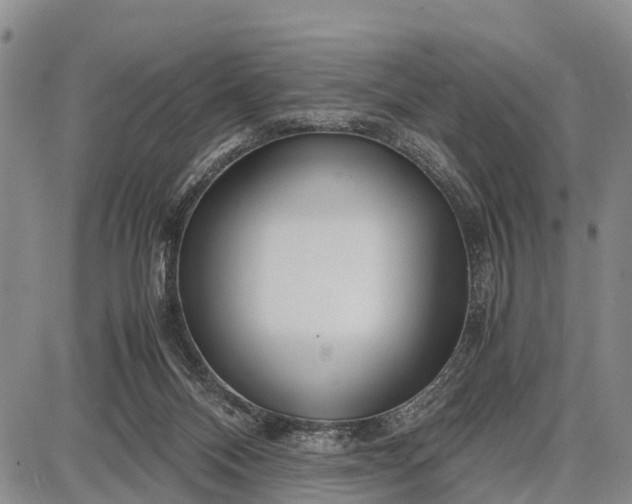 X0000087690120200705181804