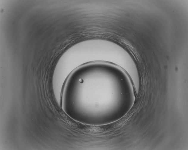 X0000087690121200705181804