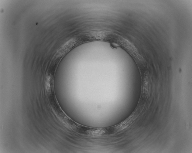 X0000087690122200705181804