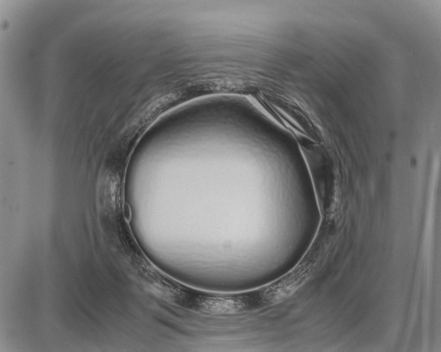 X0000087690123200705181804